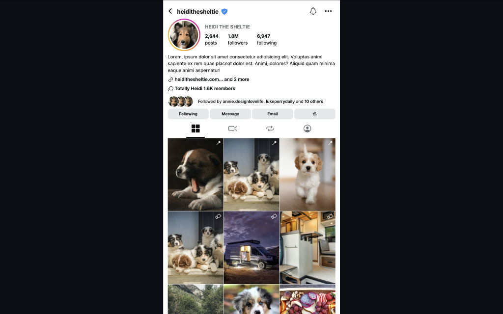 Screenshot of Instagram Profile demo website